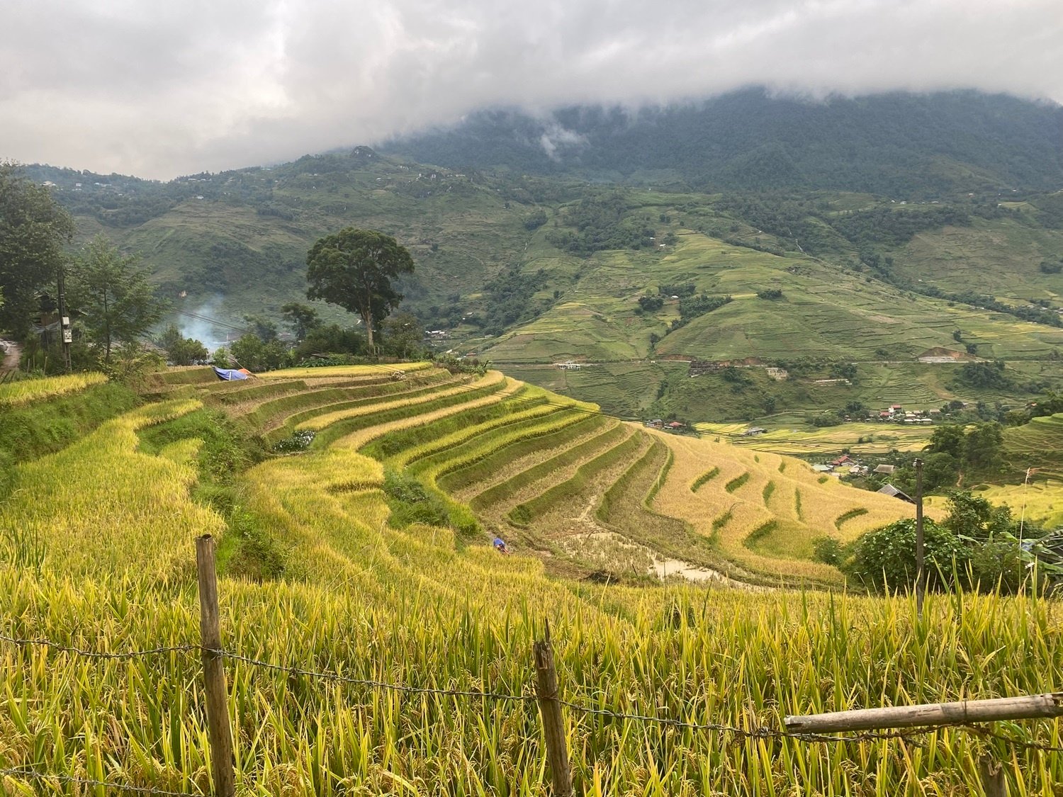 Sapa Half Day Trek Sa Seng Village